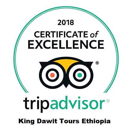Best Ethiopian Tour company