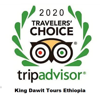 Top Ethiopian tour company